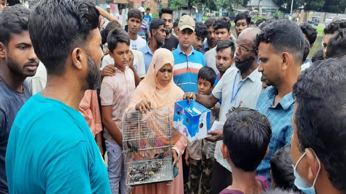 নরসিংদীর হাট থেকে বন্যপাখি উদ্ধার, বিক্রেতা পলাতক
