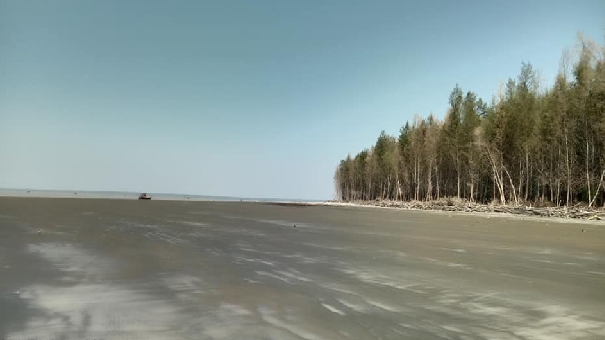 সমুদ্রে নেমে নিখোঁজ এনএসআই কর্মকর্তা ও ভাগ্নির লাশ উদ্ধার