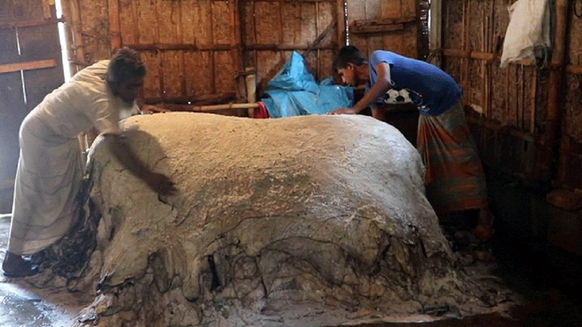 পুঁজি হারিয়ে হতাশ নওগাঁর ক্ষুদ্র চামড়া ব্যবসায়ীরা