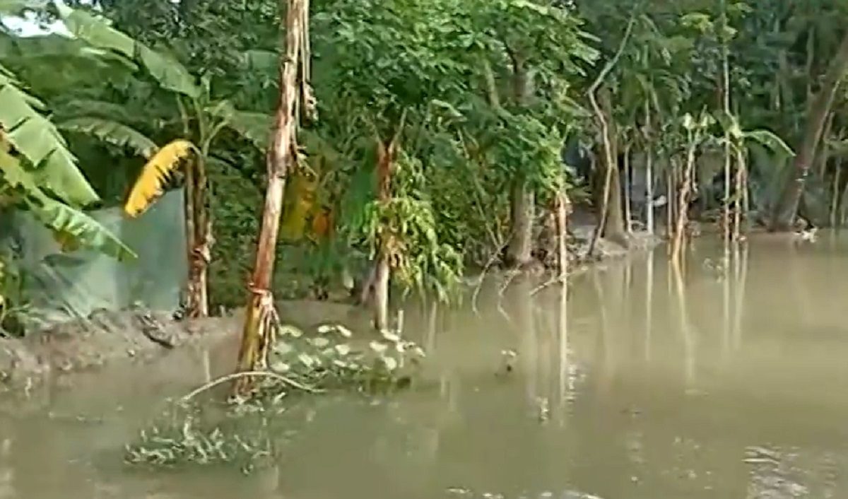 পূর্ণিমার জোয়ারে বেড়িবাঁধ ভেঙে তলিয়ে গেছে খুলনার ৭টি গ্রাম