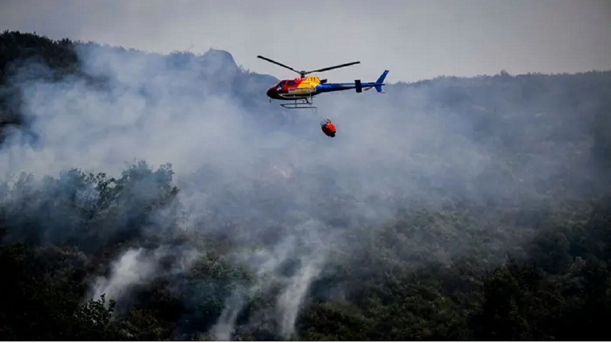 ভয়াবহ দাবানলে বিপর্যস্ত ইউরোপ