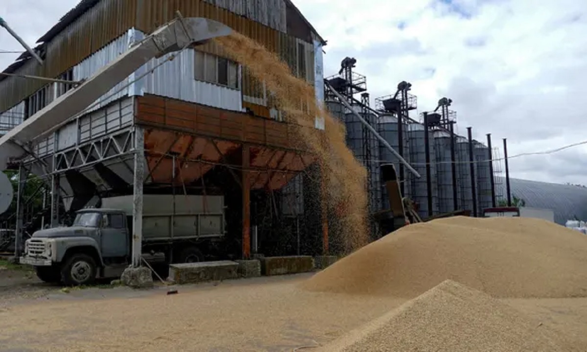 কৃষ্ণসাগর দিয়ে খাদ্যশস্য রফতানিতে ইউক্রেন-রাশিয়ার সমঝোতা