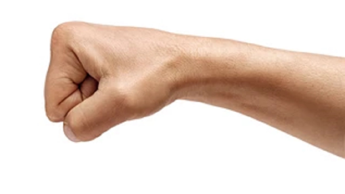 নেত্রকোণায় বড় ভাইয়ের ঘুষিতে ছোট ভাইয়ের মৃত্যু