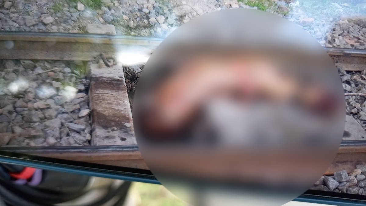 ফোনে কথা বলতে বলতে হাঁটছিলেন কনস্টেবল ইয়ামিন, ট্রেনের ধাক্কায় ছিন্নভিন্ন দেহ