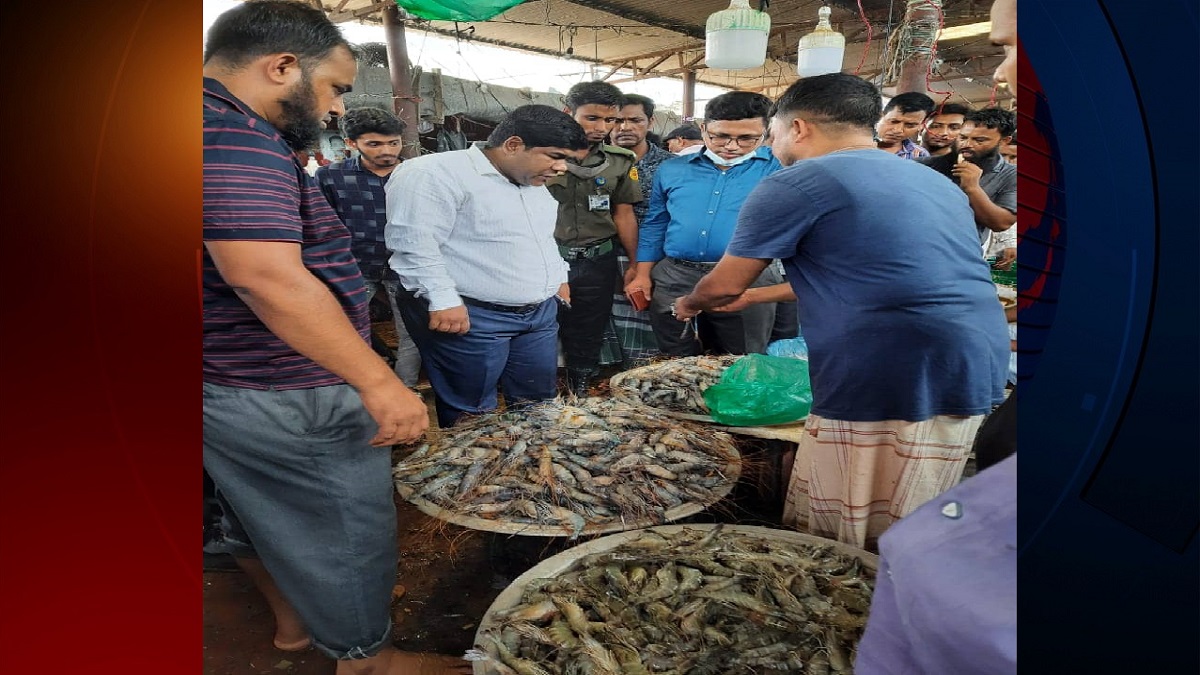 নোয়াখালীতে বিষাক্ত জেলি মিশ্রিত ১২০ কেজি চিংড়ি জব্দ, দুই ব্যবসায়ীকে কারাদণ্ড