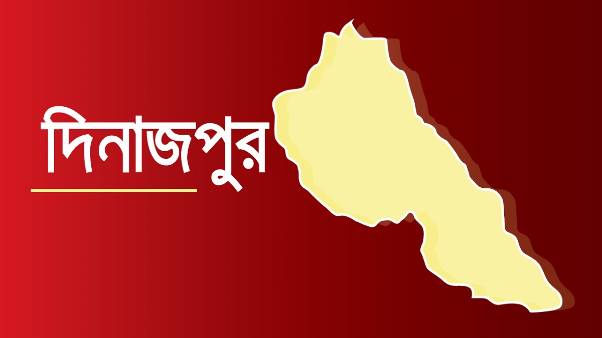 দিনাজপুরের পুকুরের পানিতে ডুবে ২ ভাইয়ের মৃত্যু