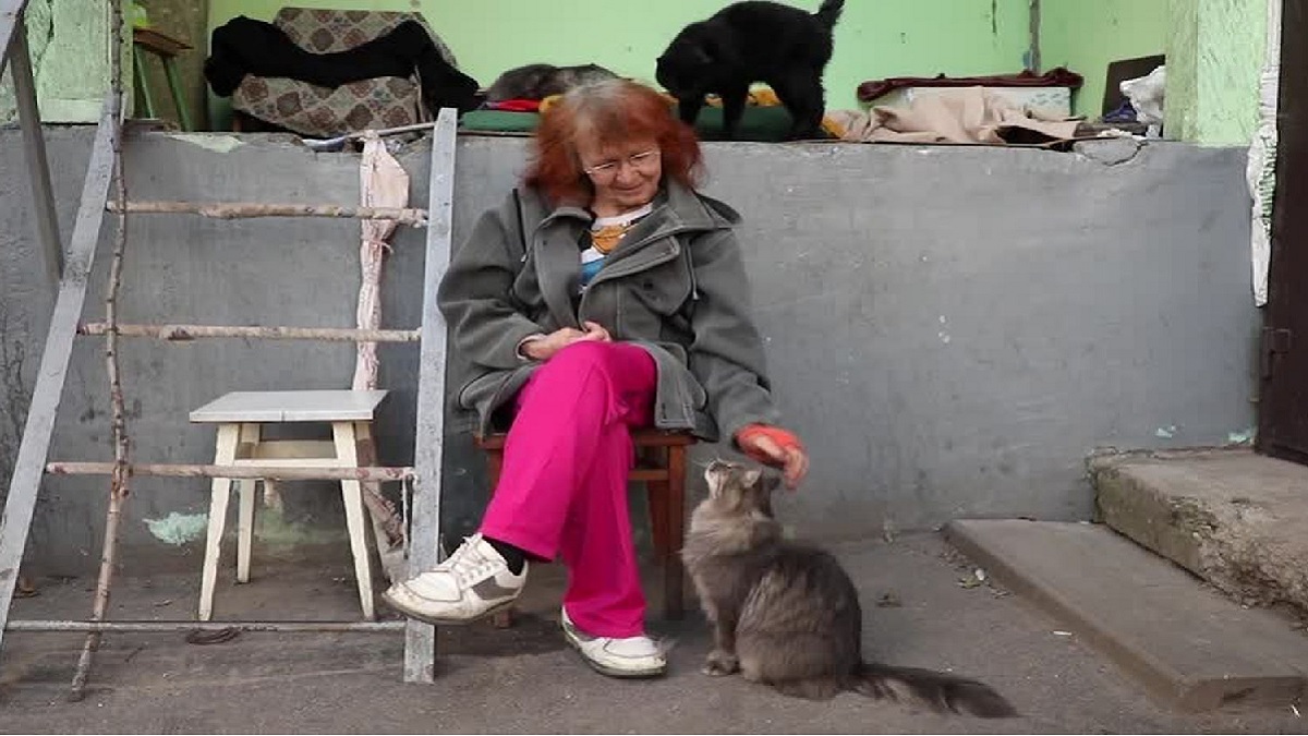 ইউক্রেনে বিড়াল বাঁচাতে এক নারীর লড়াই