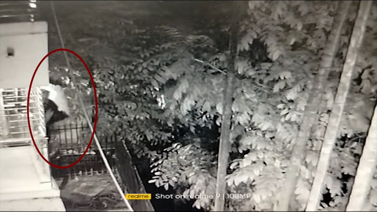 বাবা চামড়া ব্যবসায়ী, ছেলে দুর্ধর্ষ চোর