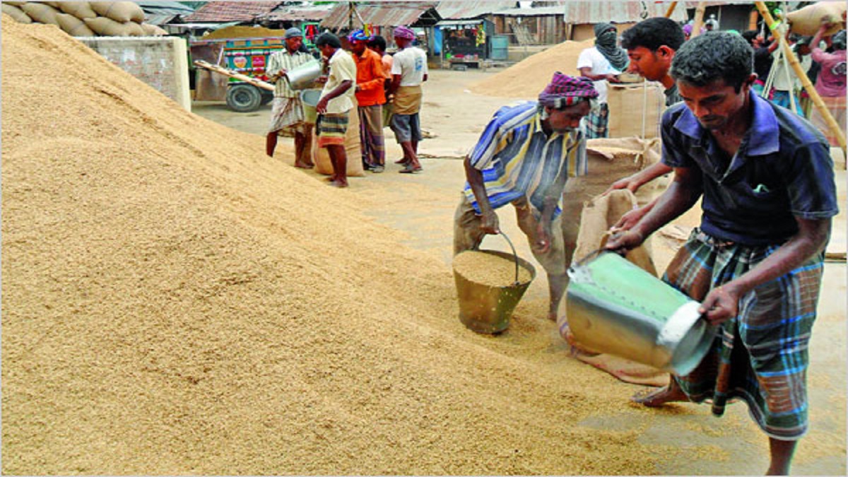 খোলাবাজারে দাম বেশি, তাই সরকারি গুদামে ধান সরবরাহ করেনি ব্রাহ্মণবাড়িয়ার অনেকে
