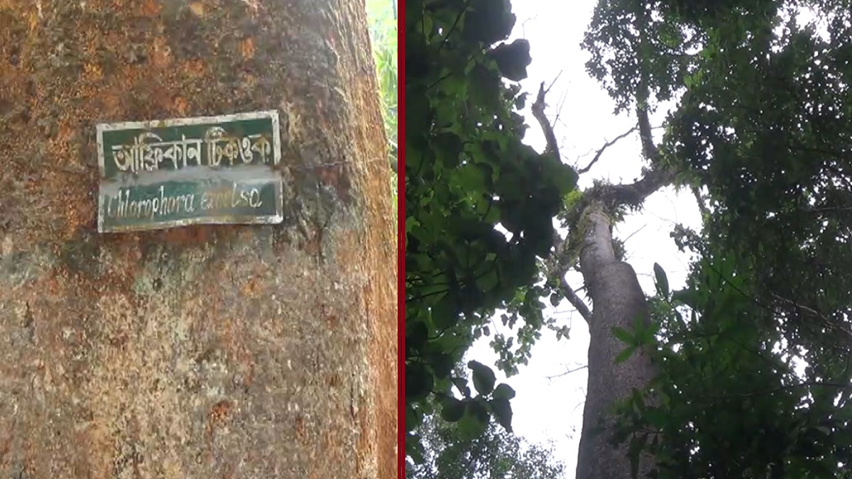 শেষ হলো এক টুকরো আফ্রিকান রূপকথা