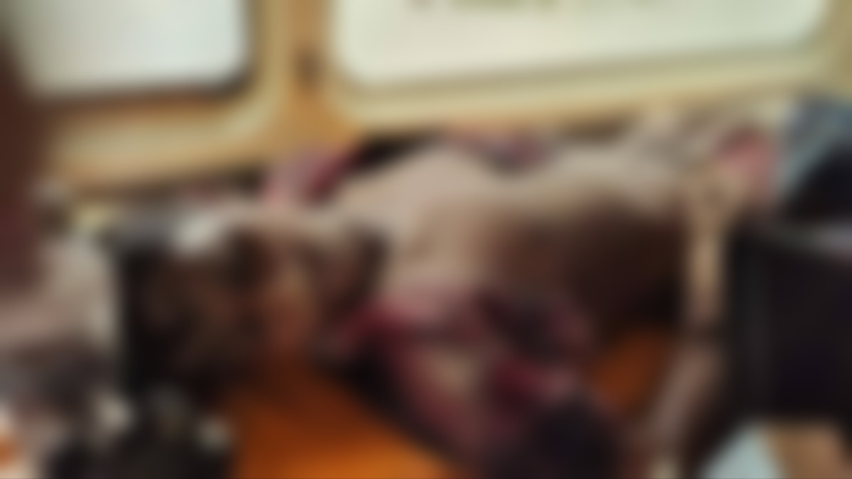 চুয়াডাঙ্গায় স্বেচ্ছাসেবক লীগ নেতাকে কুপিয়ে হত্যা