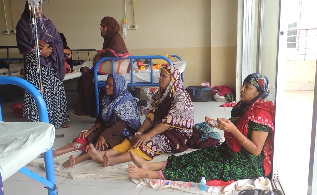 ঝিনাইদহে পাগলা কুকুরের কামড়ে আহত ২০