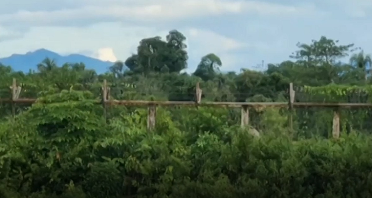 মিয়ানমার সীমান্তে আতঙ্কে এলাকা ছাড়ছেন স্থানীয়রা; যুদ্ধ চাই না, বলছেন স্বরাষ্ট্রমন্ত্রী