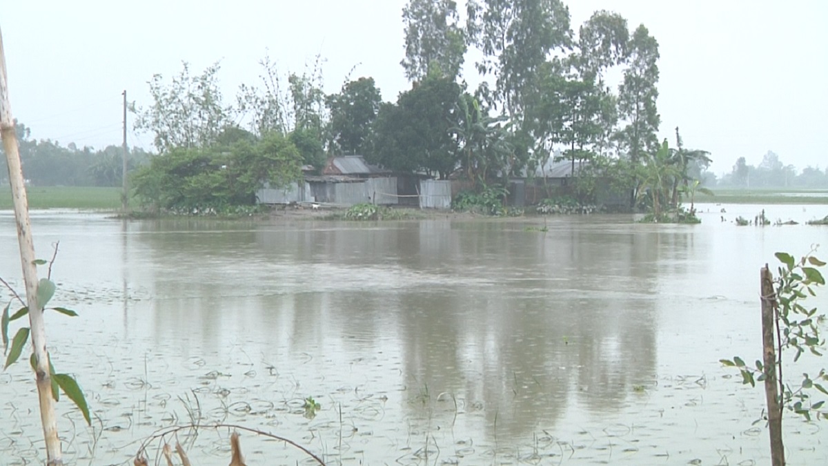 নামতে শুরু করেছে তিস্তার পানি