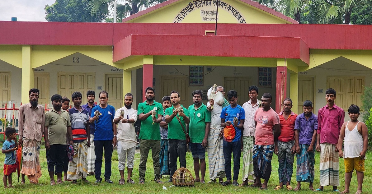 চলনবিল থেকে উদ্ধার হলো ১৫টি সাদা বক