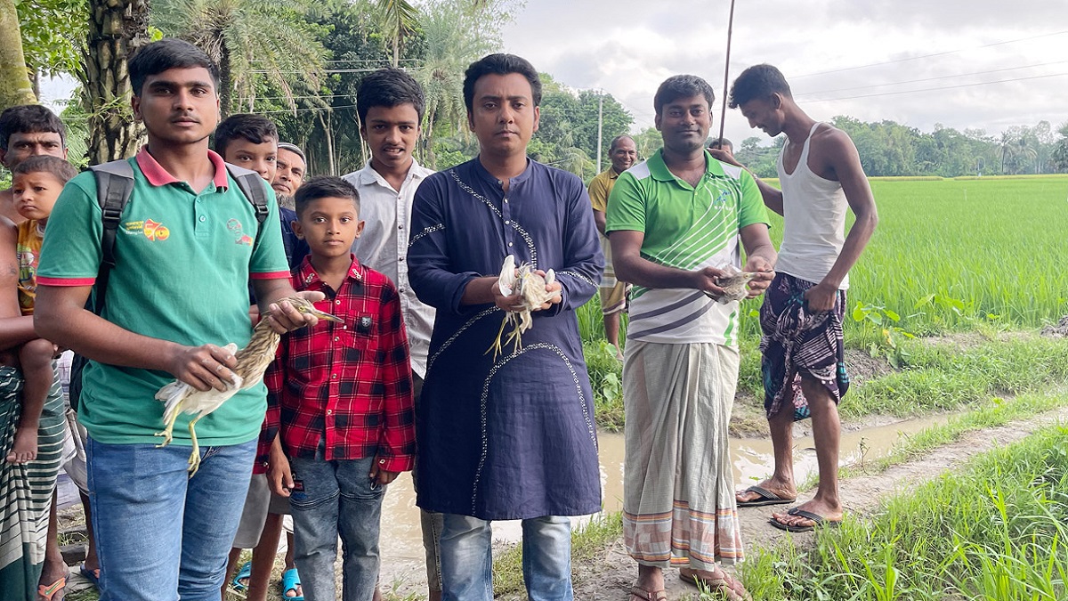 স্থানীয় পরিবেশকর্মীদের প্রচেষ্টায় নাটোরে উদ্ধার হলো ২০টি বক