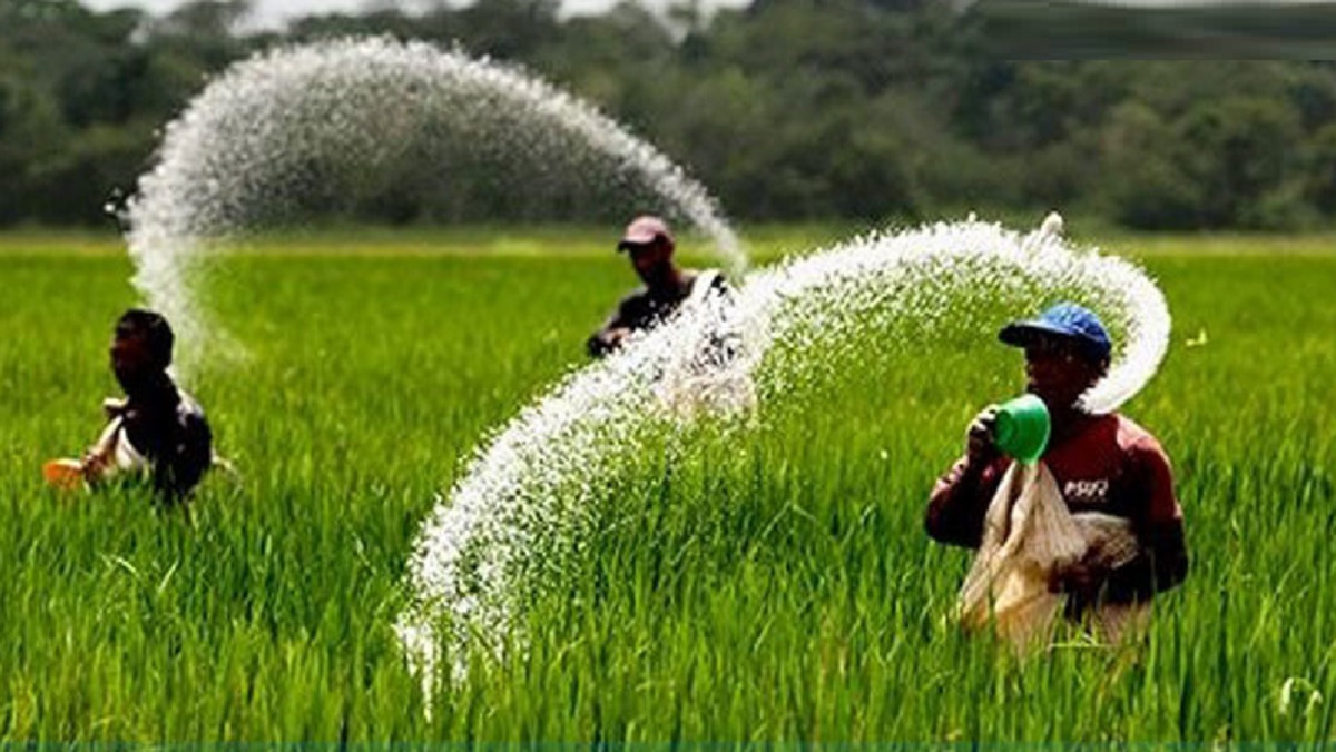 ১ লাখ টন ইউরিয়া ও ডিএপি সার কিনবে সরকার