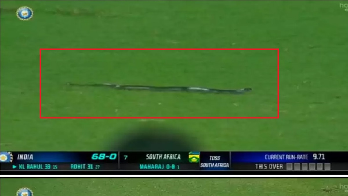 খেলা চলাকালীন মাঠের ভেতর ঢুকে পড়লো বিশালাকৃতির সাপ