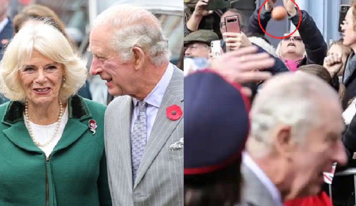 রাজা চার্লস ও ক্যামিলাকে জনসম্মুখে ডিম ছুড়ে হামলা, গ্রেফতার যুবক (ভিডিও)