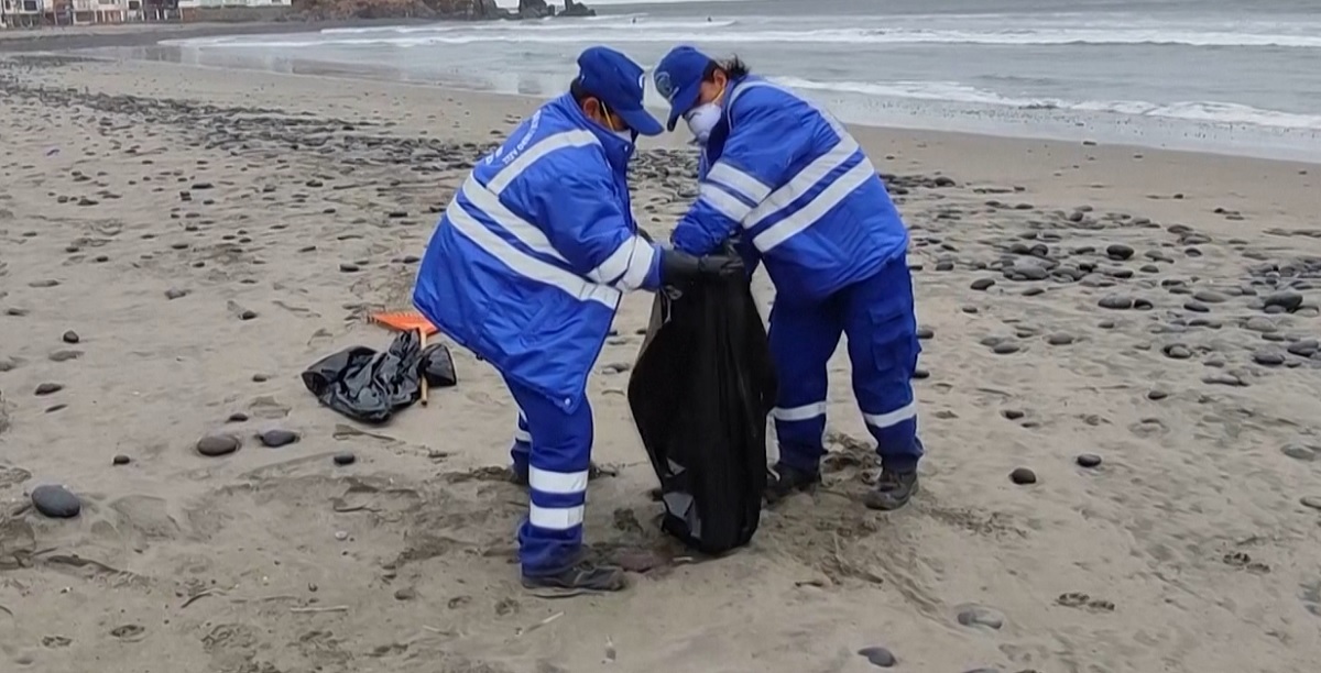 পেরুতে ভয়াবহ আকারে ছড়িয়েছে বার্ড ফ্লু