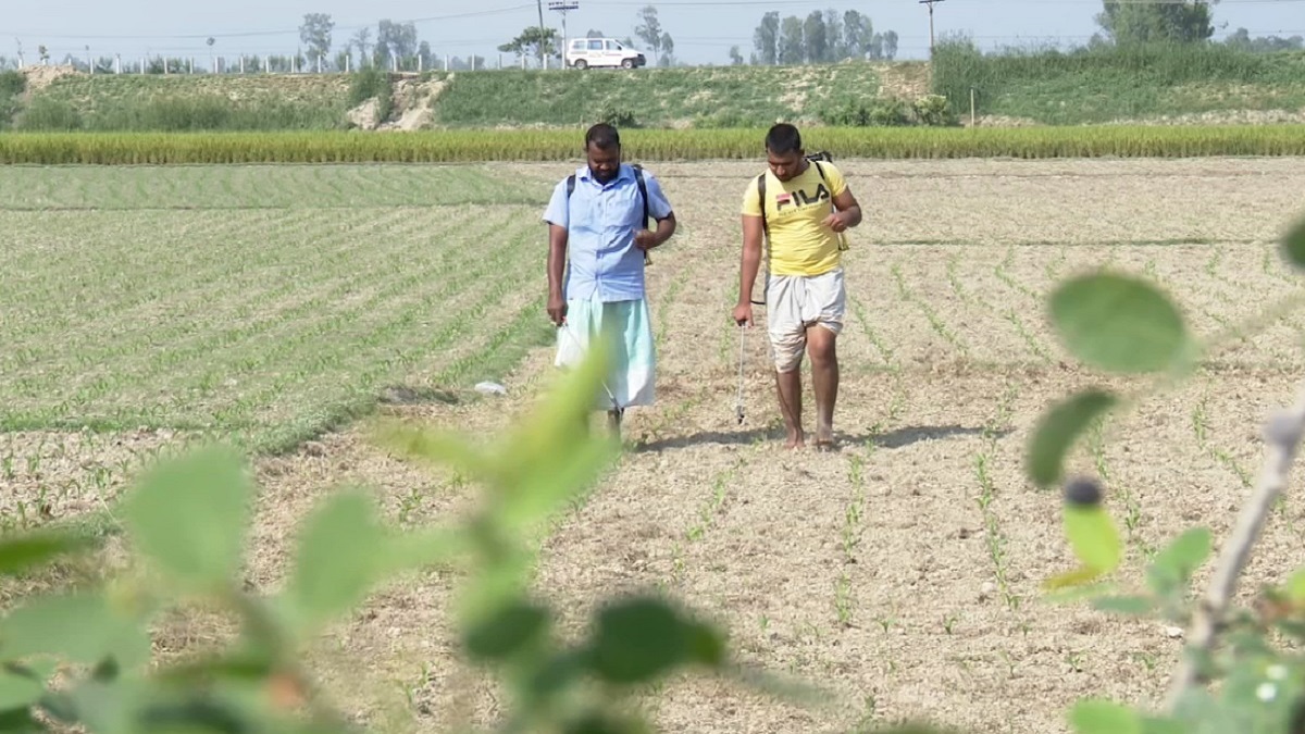 কৃষক বাবারা চান না সন্তান কৃষক হোক