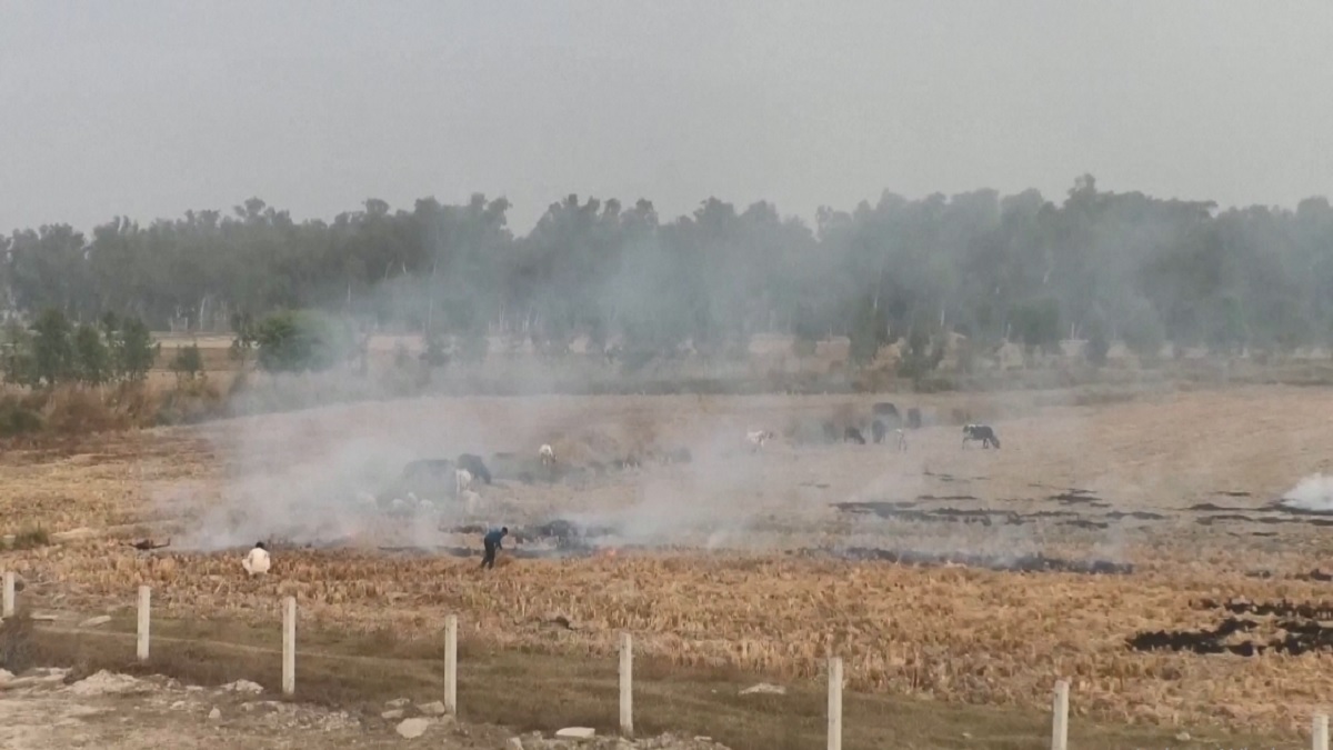 তীব্র বায়ু দূষণের কবলে ভারত-পাকিস্তান