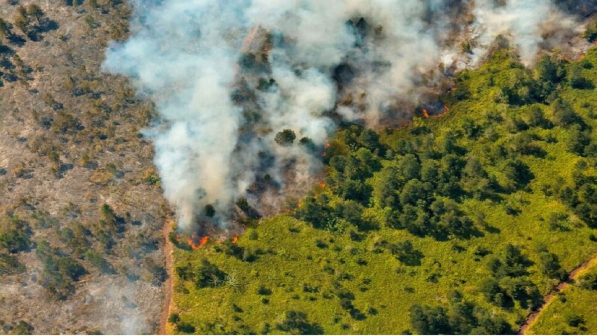নিয়ন্ত্রণে আসেনি কিউবার দাবানল