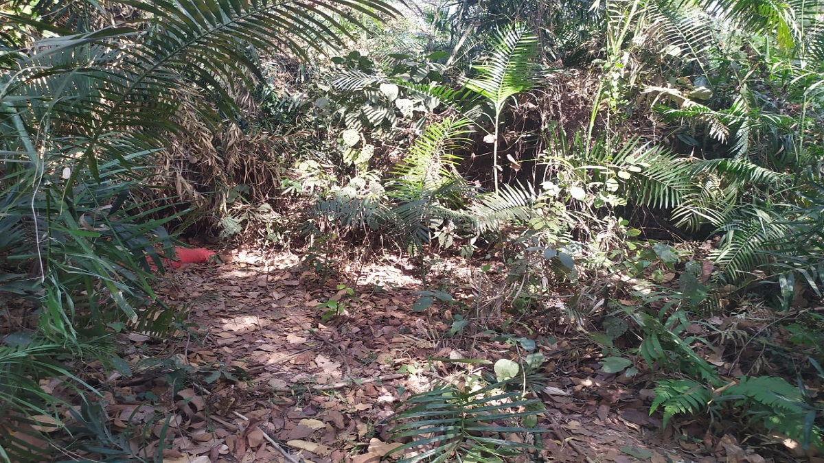 টাঙ্গাইলের মধুপুরে অজ্ঞাত নারীর মরদেহ উদ্ধার