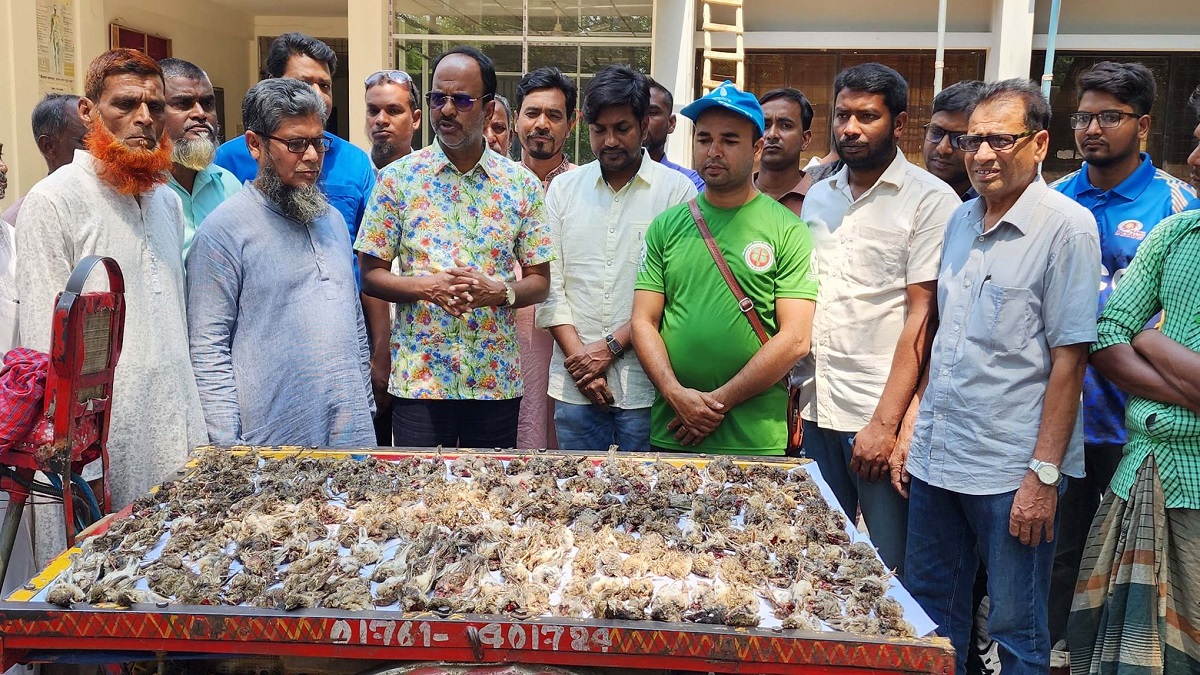 সিংড়ায় আড়াই শতাধিক জবাইকৃত পাখি জব্দ