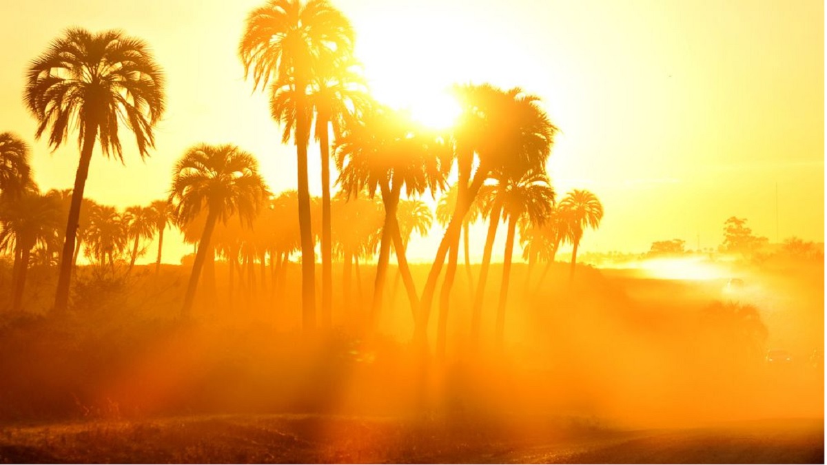 তীব্র তাপদাহে অতিষ্ঠ ভারতের কেরালা রাজ্য; তাপমাত্রা উঠছে ৫৪ ডিগ্রি পর্যন্ত!