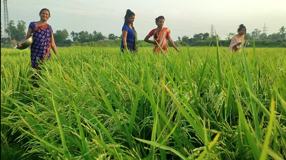 গাজীপুরে পতিত জমিতে তৃতীয় লিঙ্গের মানুষদের কৃষিকাজ