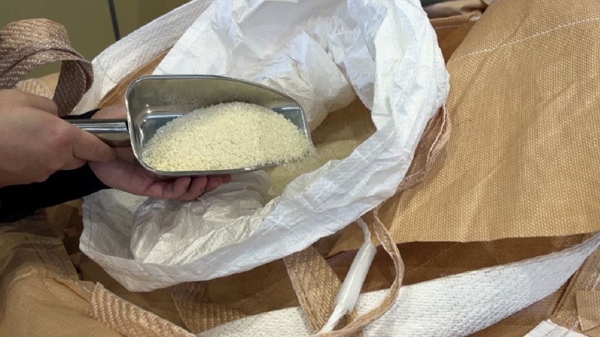 ফুকুশিমায় উৎপাদিত চাল ব্যবহৃত হচ্ছে প্লাস্টিক তৈরিতে
