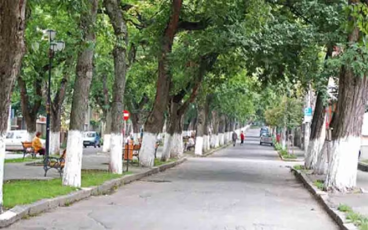 রাস্তার ধারের গাছগুলির গায়ে কেন সাদা রং করা হয়?