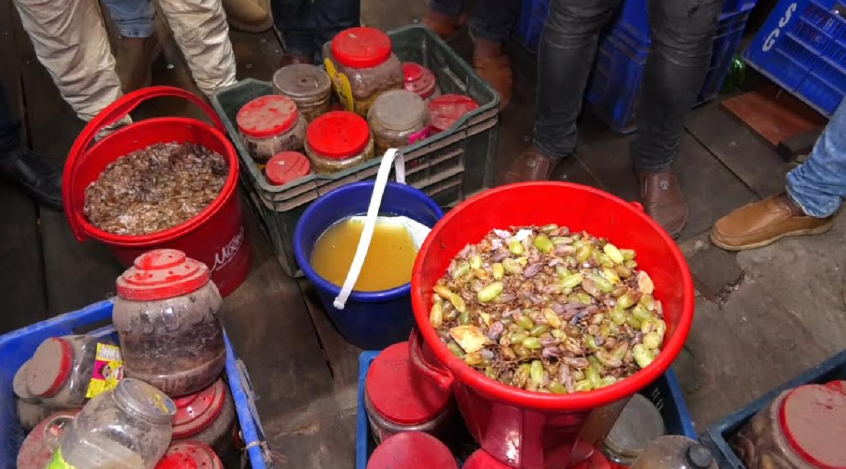 ঝিনাইদহে পচা ফল দিয়ে চোলাই মদ তৈরি, আটক ১