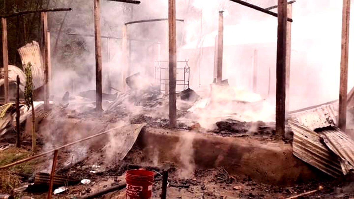 জ্বলন্ত চুলা রেখে হেলিকপ্টার দেখতে গেলেন মা, আগুনে পুড়ে প্রাণ গেলো ঘুমন্ত শিশুর