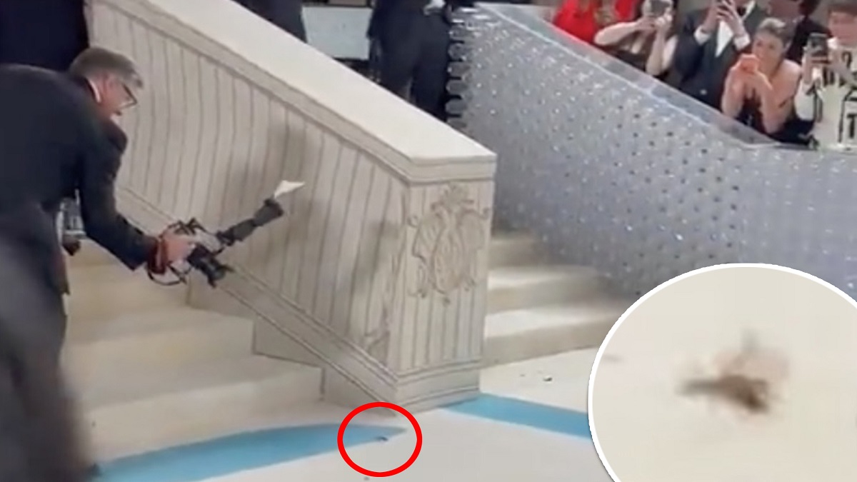 মেট গালার রেড কার্পেটে তেলাপোকা!