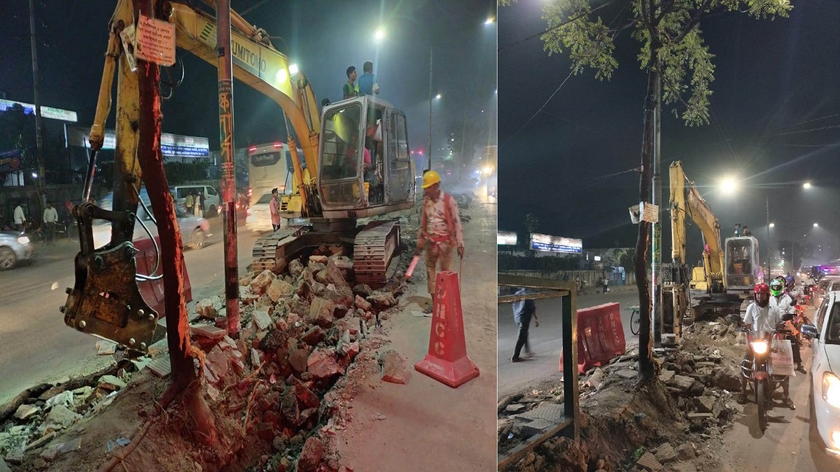 রোড ডিভাইডারের গাছ কাটায় সাময়িক বরখাস্ত ডিএনসিসির দুই প্রকৌশলী