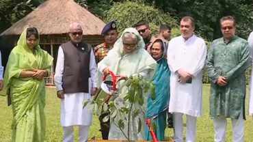 বিশ্ব পরিবেশ দিবস: অন্তত একটি করে গাছ লাগানোর আহ্বান প্রধানমন্ত্রীর