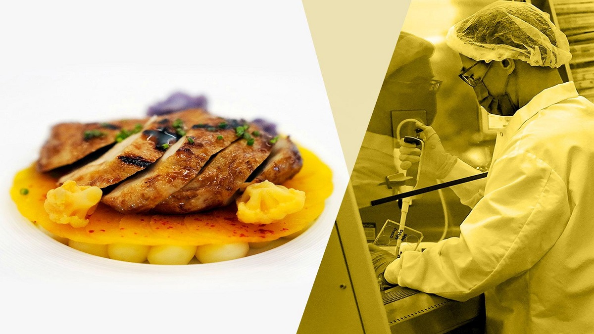 চূড়ান্ত অনুমোদন পেল ল্যাবে তৈরি মাংস, পাওয়া যাবে যুক্তরাষ্ট্রের রেস্তোরাঁয়