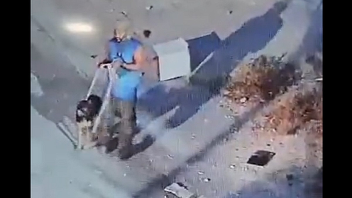 ফিলিস্তিনের মসজিদে ঢুকে পবিত্র কোরআন শরীফ ছিঁড়ে ফেললো ইহুদিরা (ভিডিও)