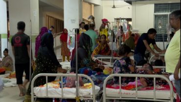 এবার ডেঙ্গুতে আক্রান্তের প্রায় অর্ধেকরই বয়স ১৮ থেকে ৪০ বছর