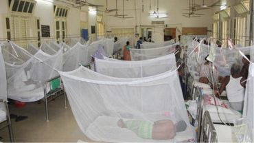 ডেঙ্গু হলে কী করা যাবে, কী করা যাবে না?