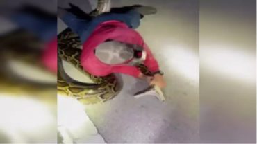 ফ্লোরিডায় অজগরের সাথে যুবকের ভয়াবহ লড়াই