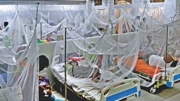 ডেঙ্গুতে ২৪ ঘণ্টায় মৃত্যু ৯, হাসপাতালে ভর্তি ১৯৬০