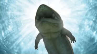 প্রায় ২৫ কোটি বছর আগের জীবাশ্মে খুললো বহু রহস্য