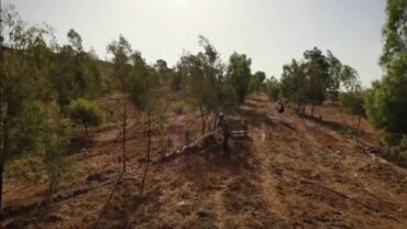 প্রকৃতি প্রেমের অনন্য নজির গড়লেন লিবিয়ার হুসেইন