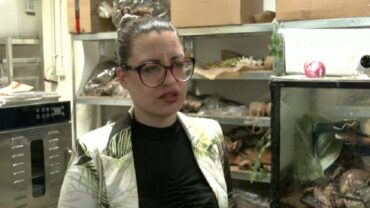 জার্মান নারীর কাণ্ড, শখের বসে পালেন শামুক!