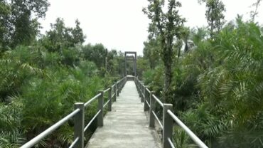 আগামীকাল থেকে পর্যটকদের জন্য খুলছে সুন্দরবন