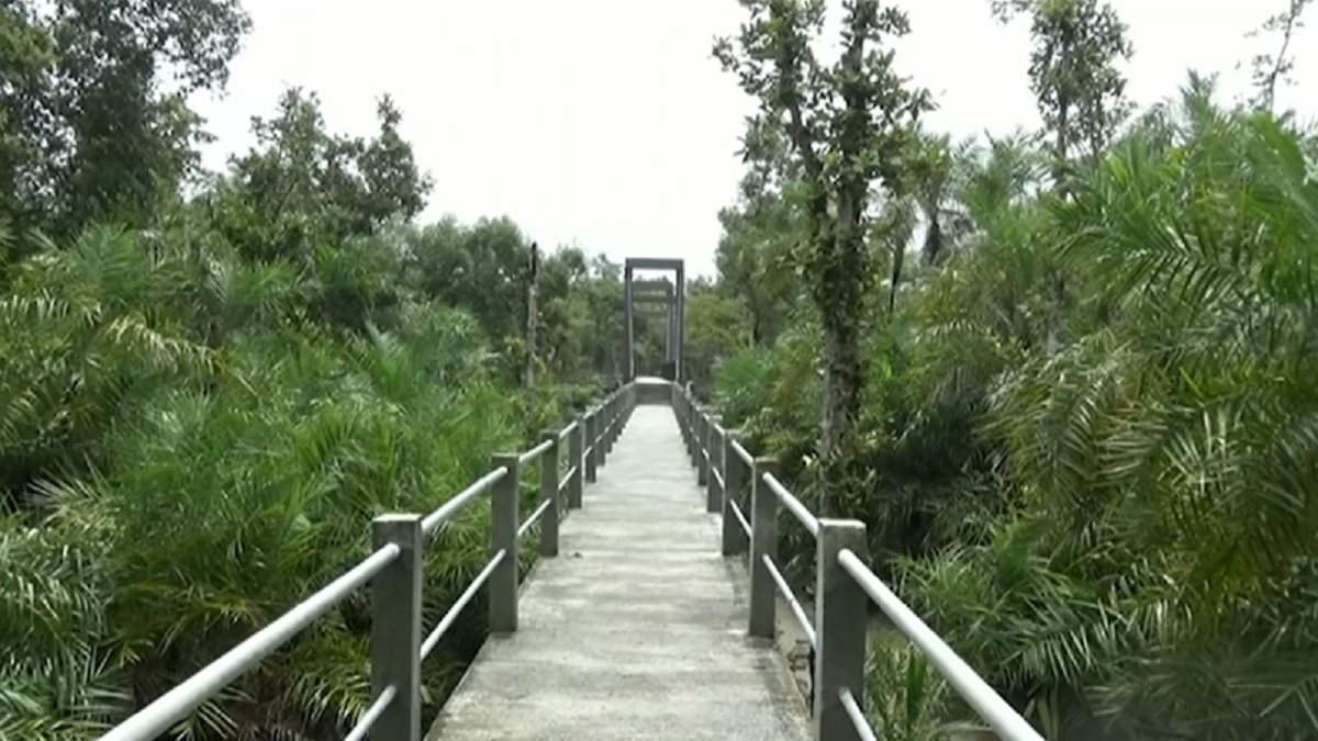 আগামীকাল থেকে পর্যটকদের জন্য খুলছে সুন্দরবন