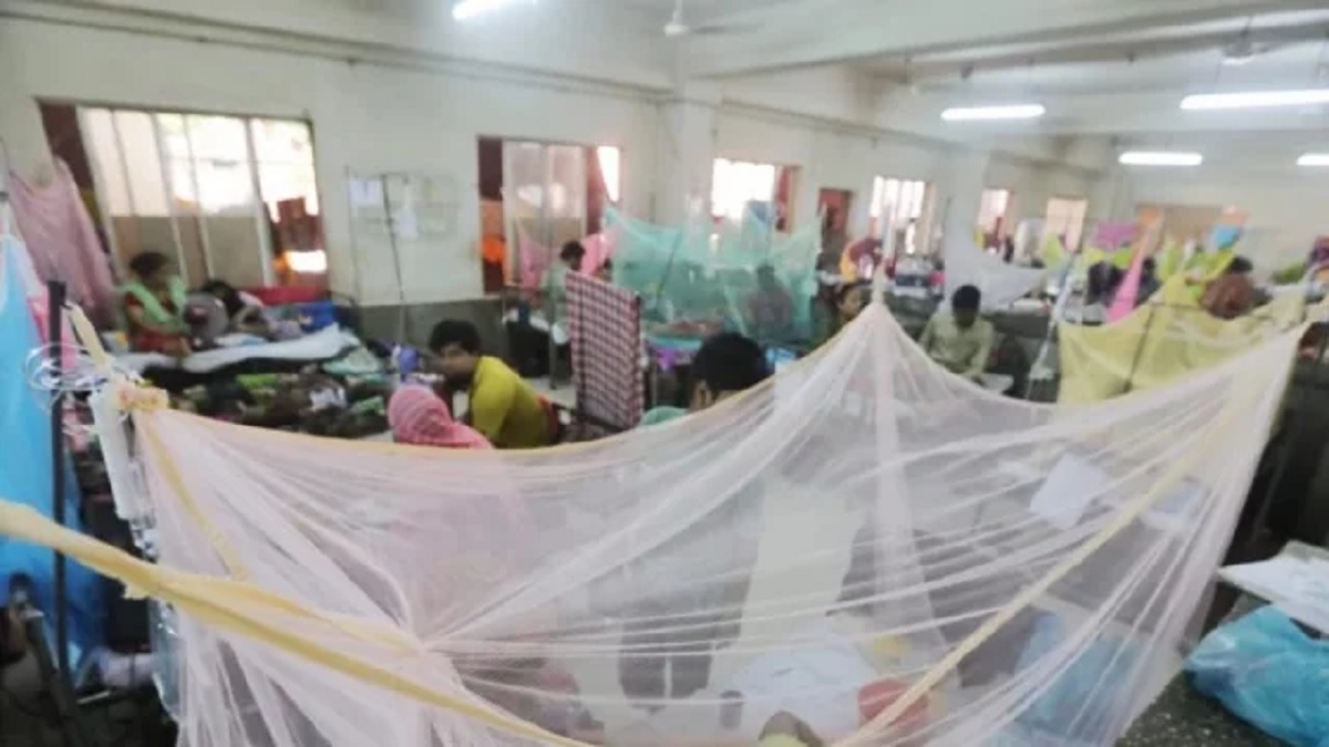 ২৪ ঘণ্টায় ডেঙ্গুতে প্রাণ গেল ১৪ জনের